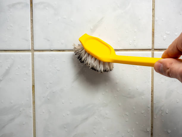 Best Toxic Mold Removal  in Forked River, NJ