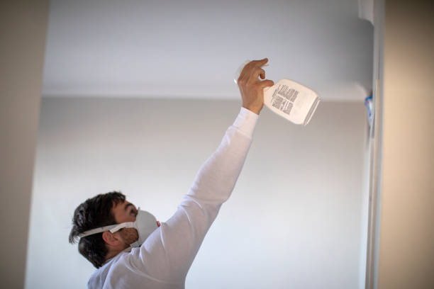 Best Attic Mold Removal  in Forked River, NJ