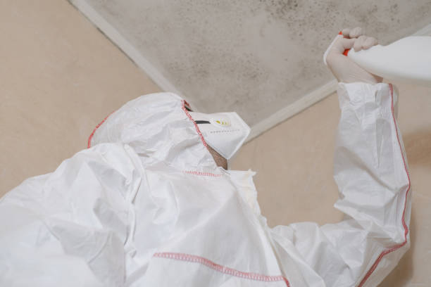 Best Mold Testing  in Forked River, NJ